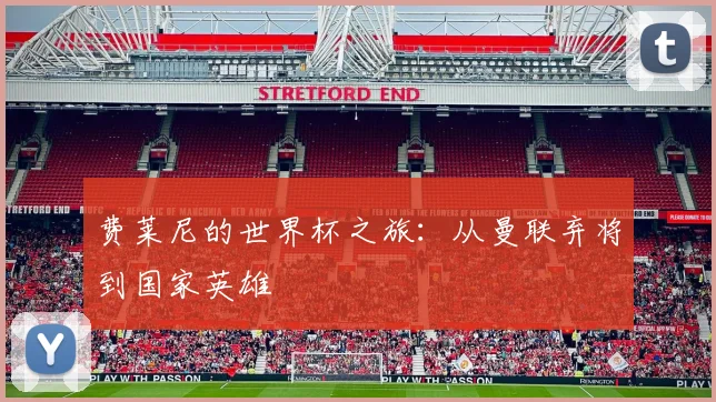 费莱尼的世界杯之旅：从曼联弃将到国家英雄
