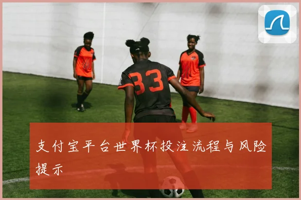 支付宝平台世界杯投注流程与风险提示