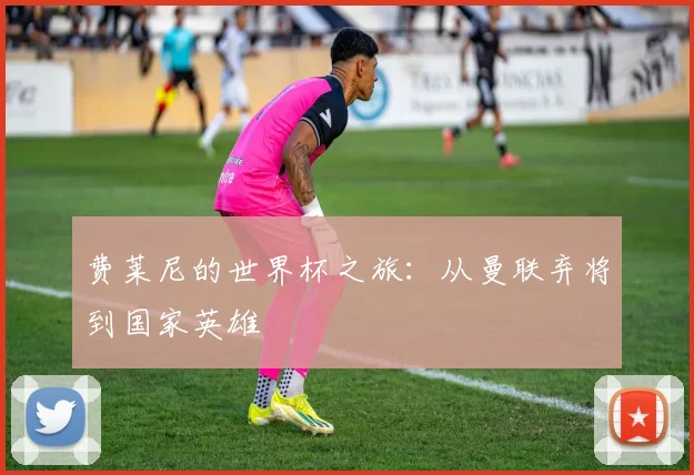 费莱尼的世界杯之旅：从曼联弃将到国家英雄