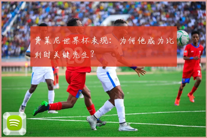费莱尼世界杯表现：为何他成为比利时关键先生？