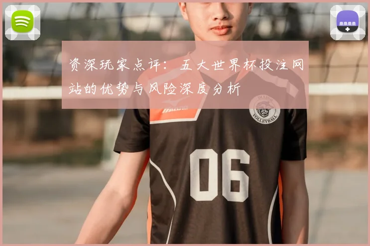 资深玩家点评：五大世界杯投注网站的优势与风险深度分析