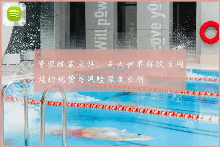 资深玩家点评：五大世界杯投注网站的优势与风险深度分析