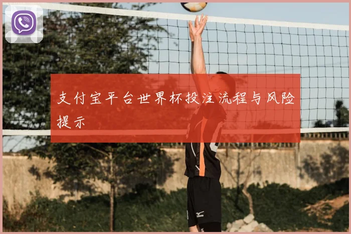支付宝平台世界杯投注流程与风险提示