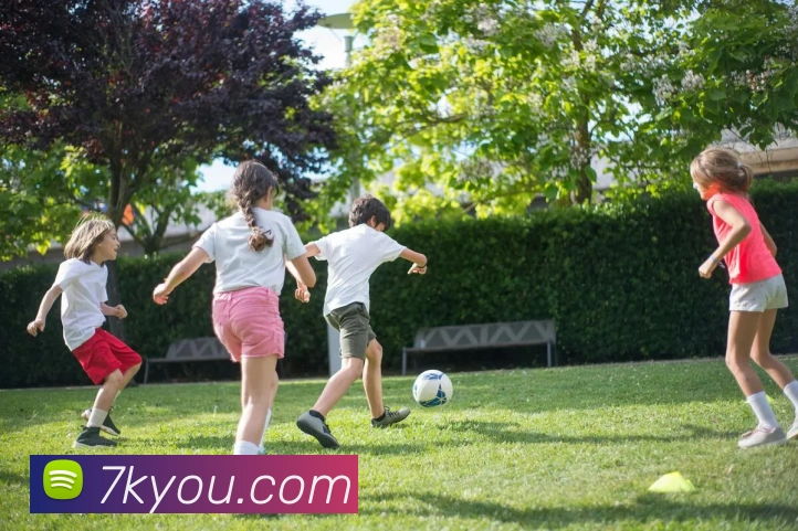 开云在线登录入口官网APP 封面图